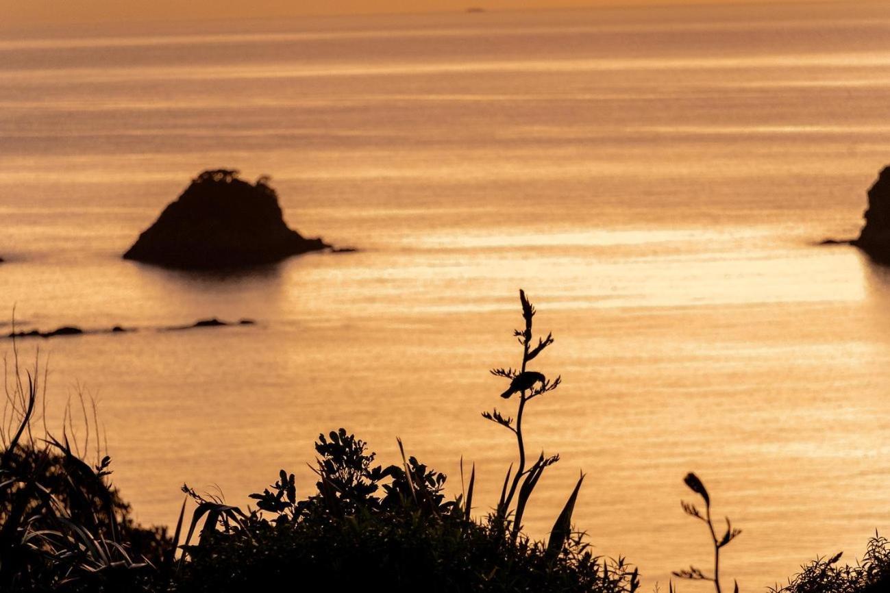Cathedral Cove And Sunrise Apartment Hahei Exterior foto